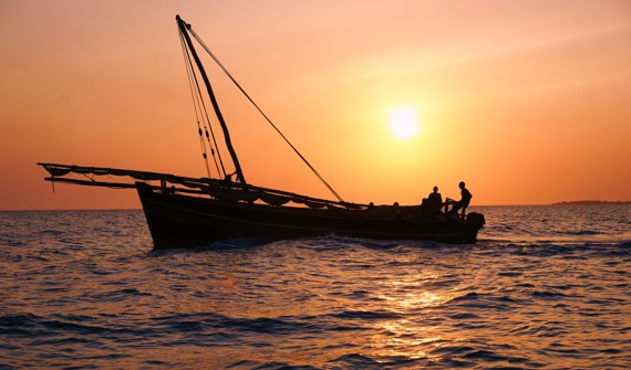 2017 Oman - Zanzibar